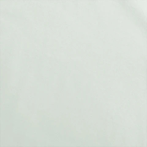 Remnant 9125, Cloud 9 Organic Cotton Interlock Knit Jersey, Pale Sage, 2.25 yard cut