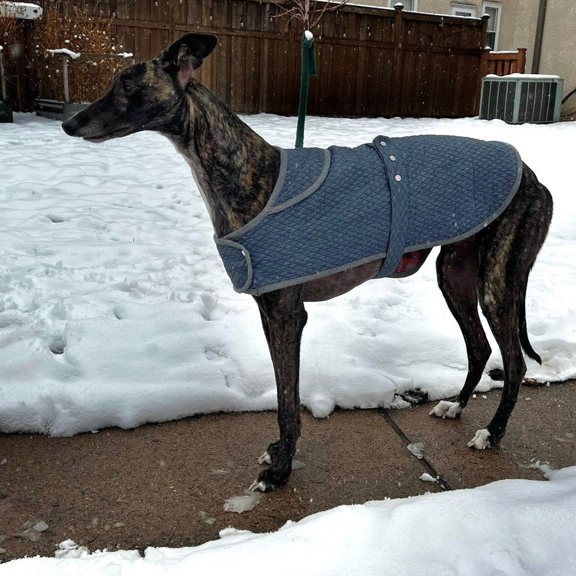 Merchant & Mills, The Barka Dog Coat PDF Pattern