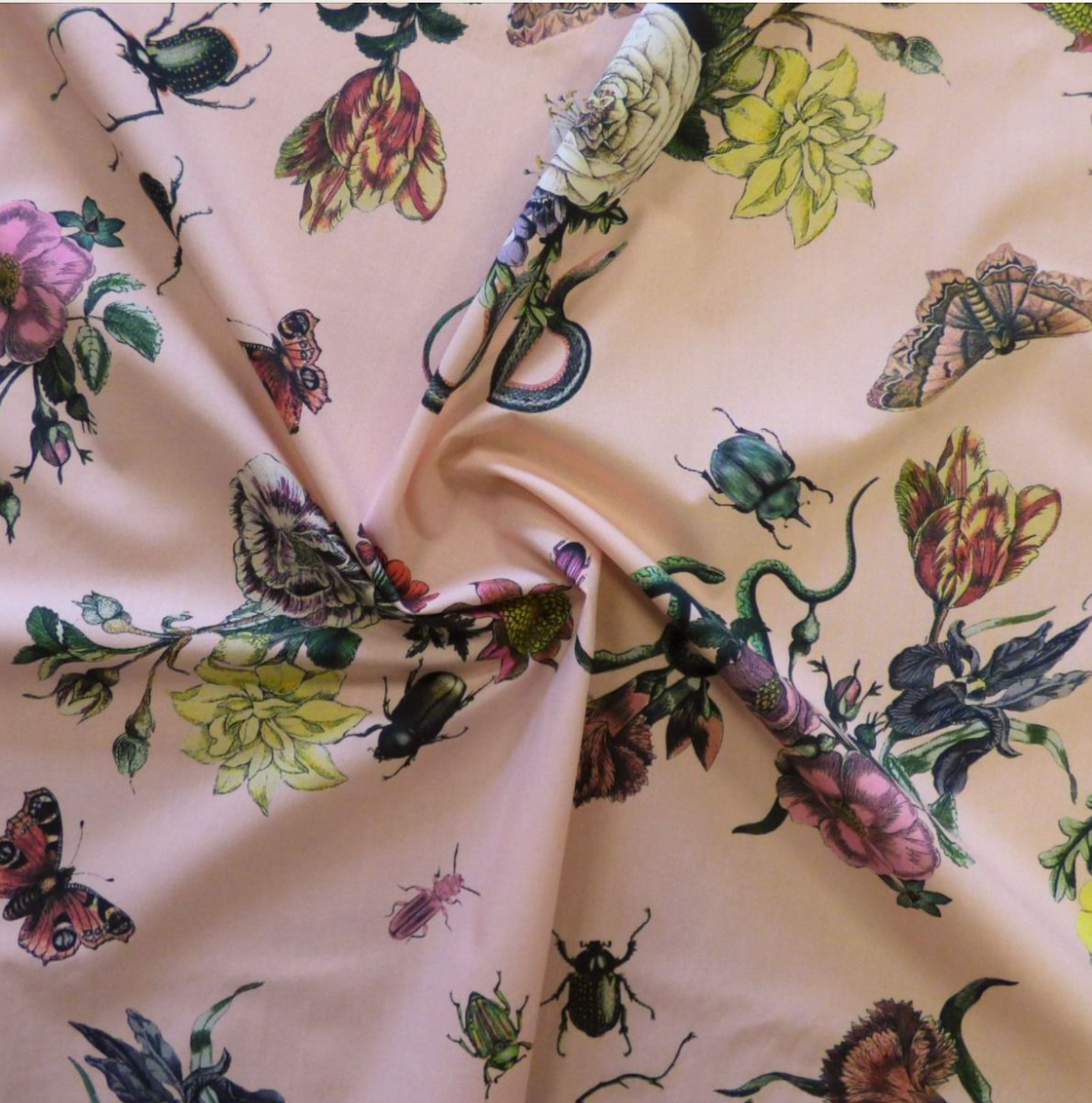 Lady McElroy Cobra Corsage-Blush-Marlie Care Cotton Lawn, 1/4 yard