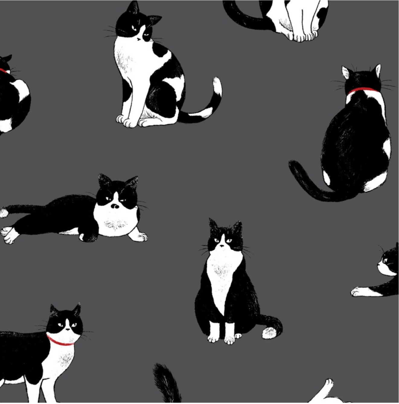 Cosmo Cat & Fox, Cotton Shirting,Tuxie Cats on Grey, 1/4 yard