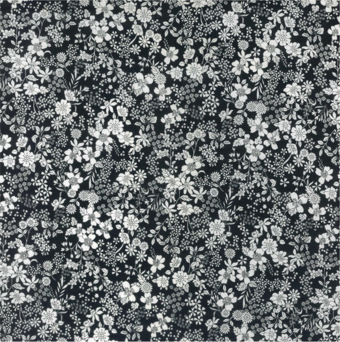 Screenshot2025-08-19at10.04.