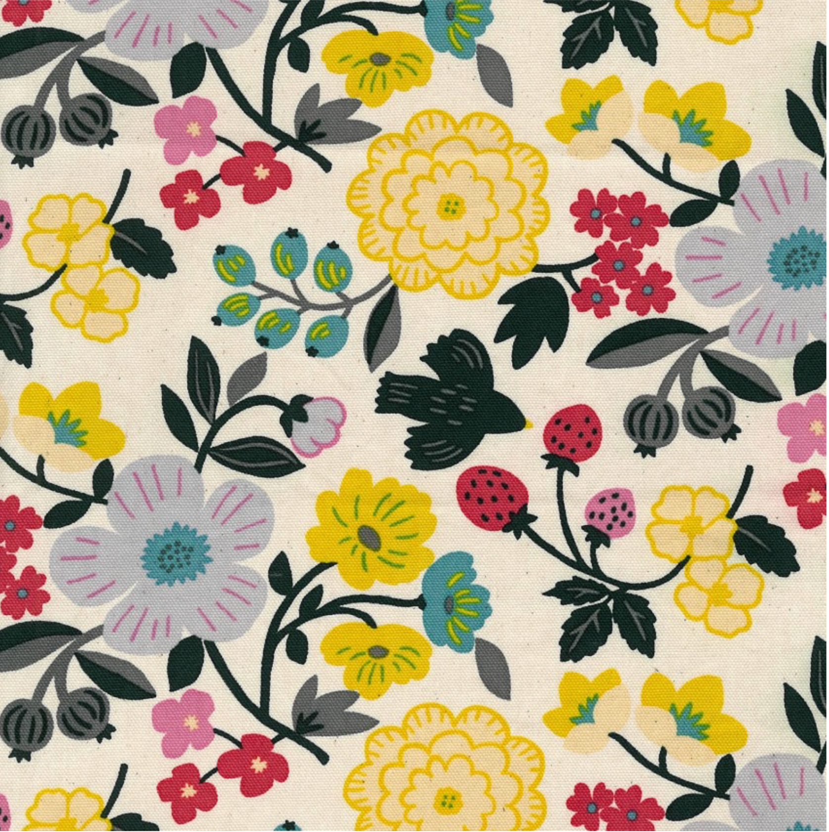 Kokka Sopo Retro- Flower Cotton Oxford Fabric, Robin's Egg or Cream, 1/4 yard