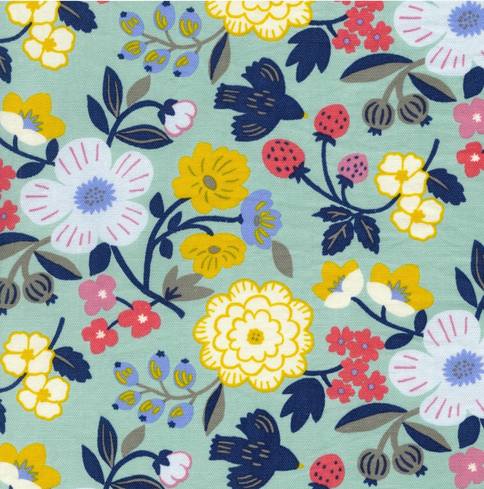 Kokka Sopo Retro- Flower Cotton Oxford Fabric, Robin's Egg or Cream, 1/4 yard
