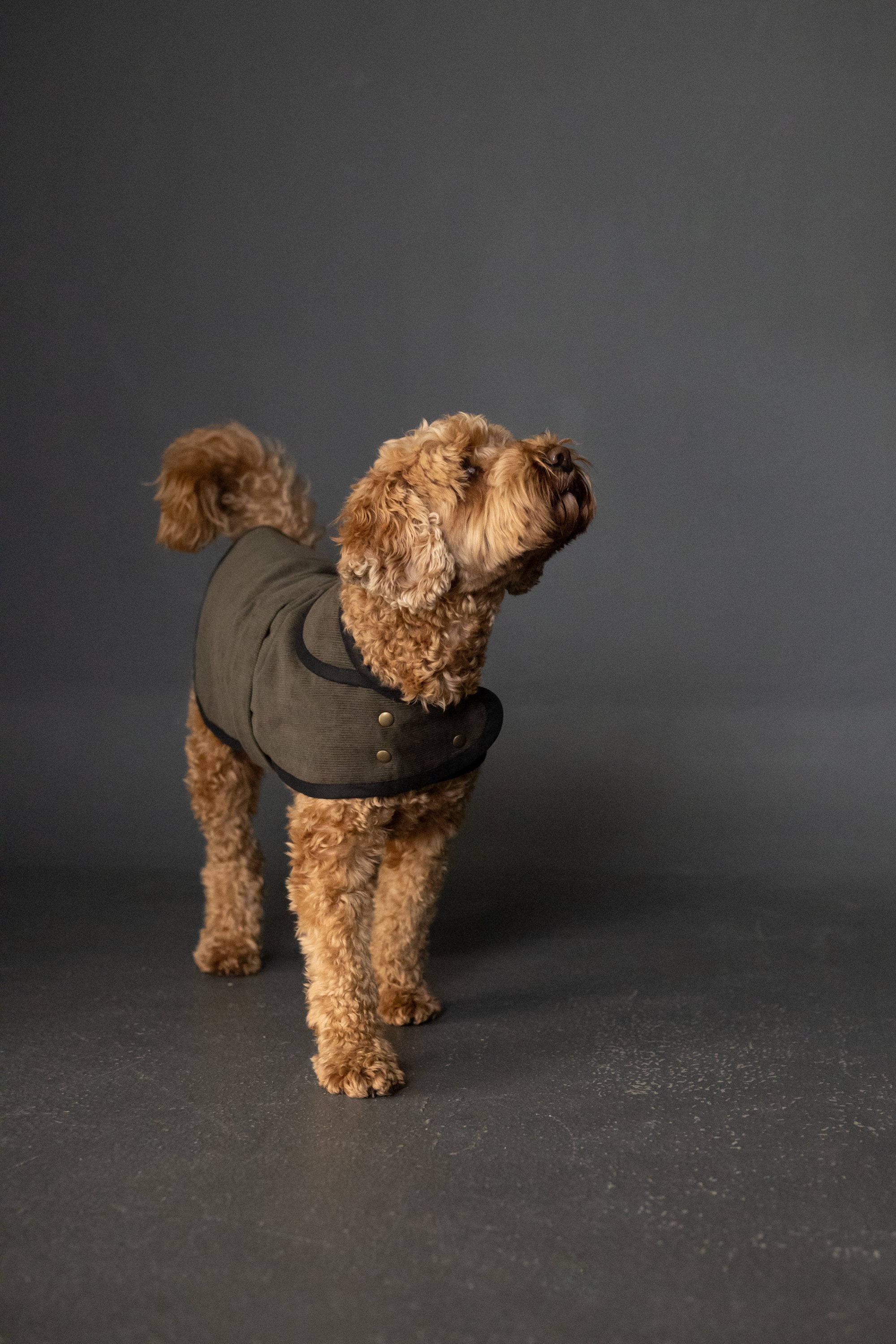 Merchant & Mills, The Barka Dog Coat PDF Pattern