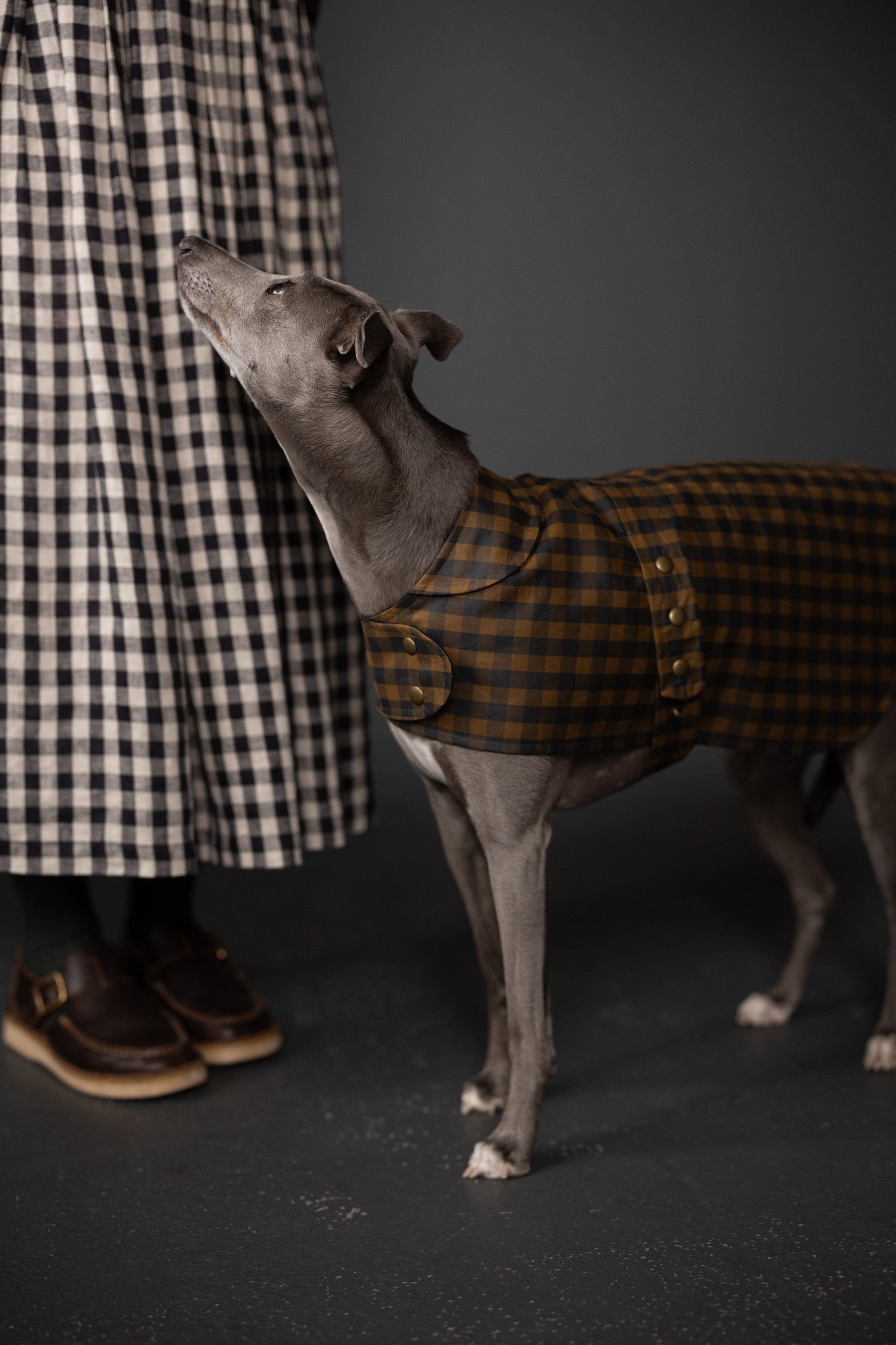 Merchant & Mills, The Barka Dog Coat PDF Pattern