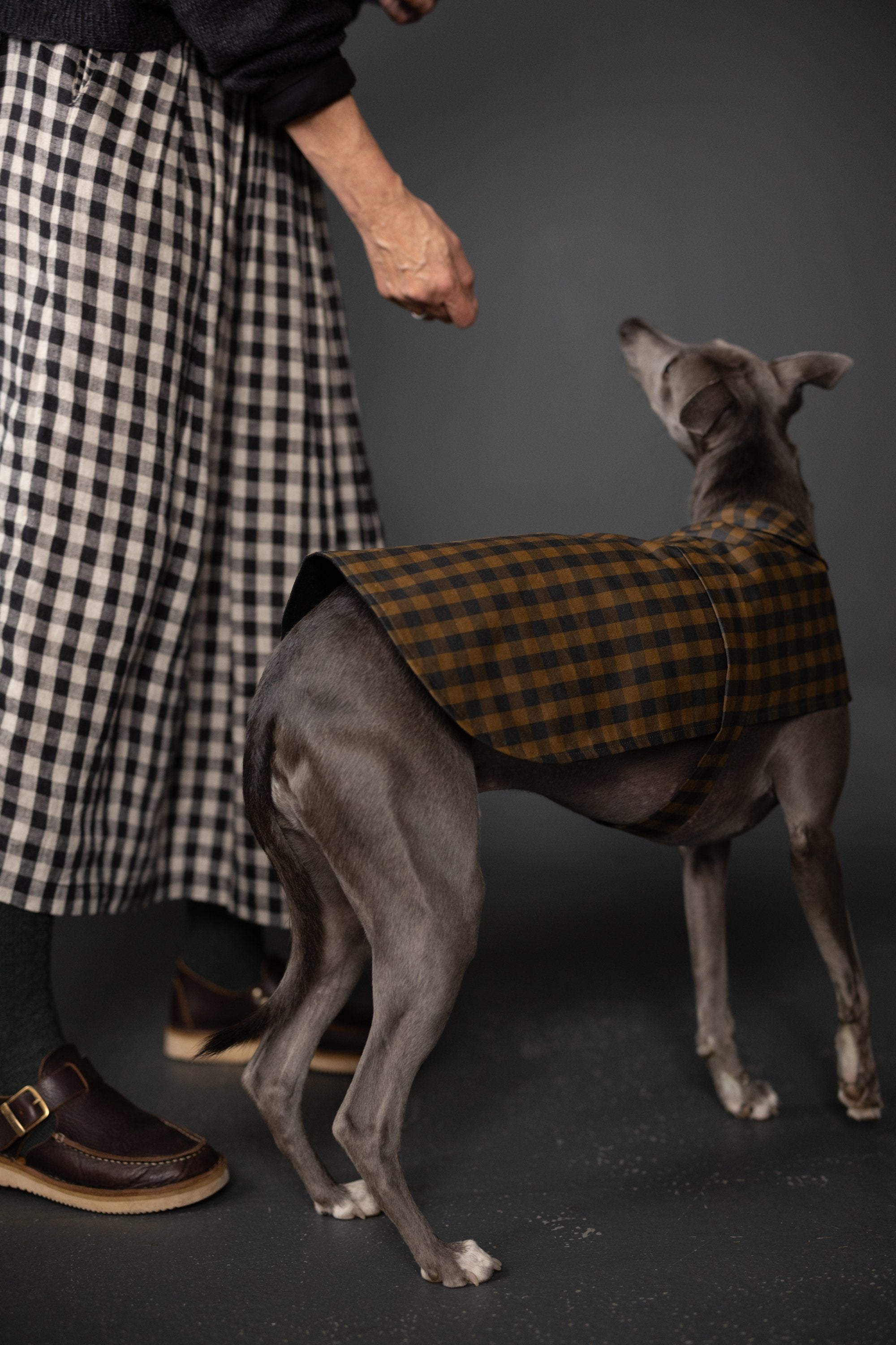Merchant & Mills, The Barka Dog Coat PDF Pattern