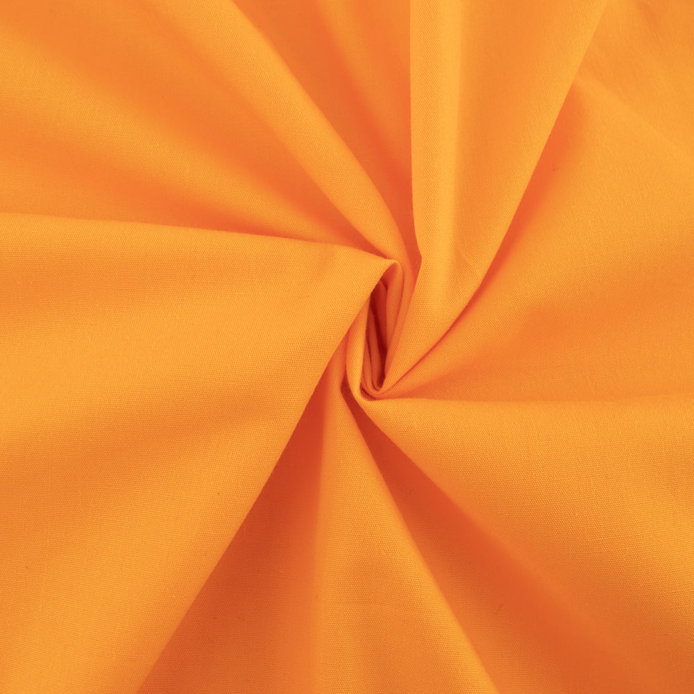 apricot_76ec138e-de9f-4402-8534-bf7f65da5e4f