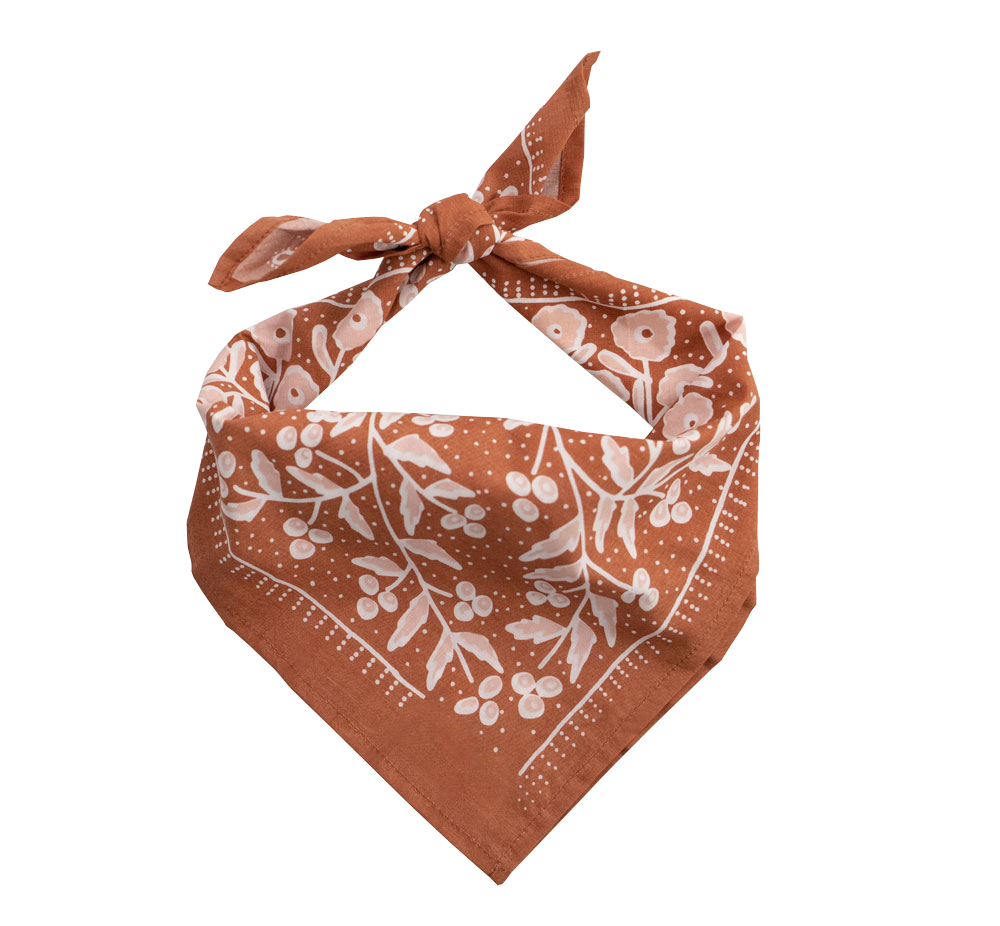 Handker, No. 058 Terra Bandana, 22" Square