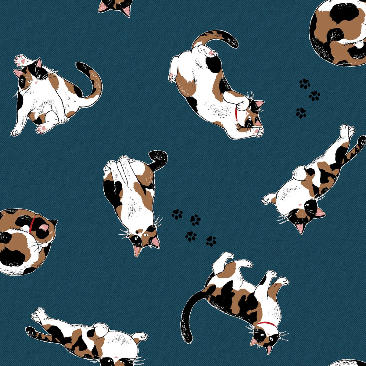 Cosmo Cats and Paw prints, Oxford Canvas, Navy, 1/4 yard