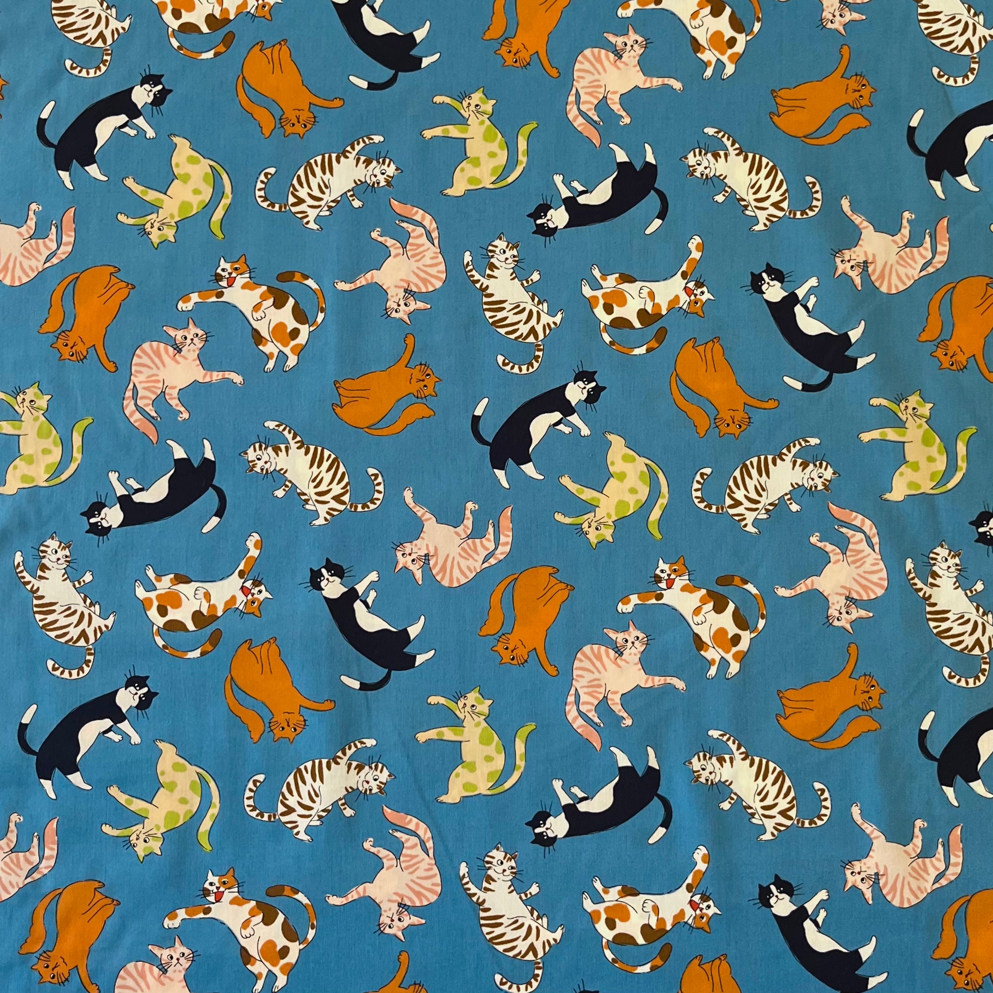 Sevenberry "Crazy Cats" Cotton, 1/4 yard - Lakes Makerie