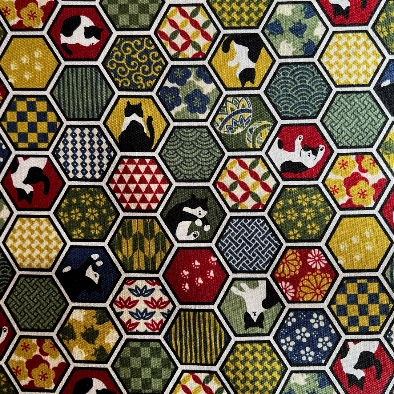 Cosmo Cats and Hexes,  Sheeting, 1/4 yard
