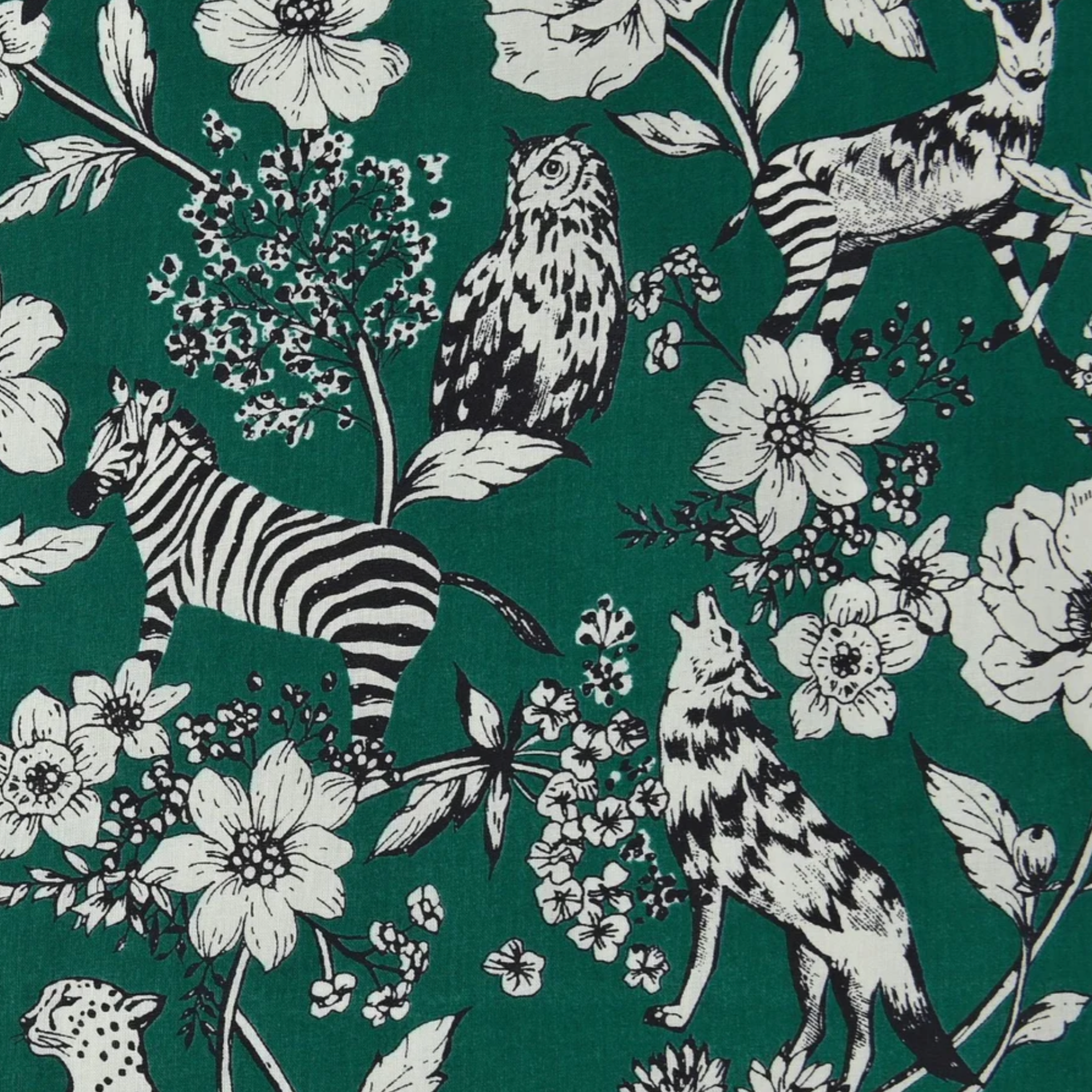 Remnant 61253, echino Wonder, Cotton Lawn, green, 2.5 yard bolt end