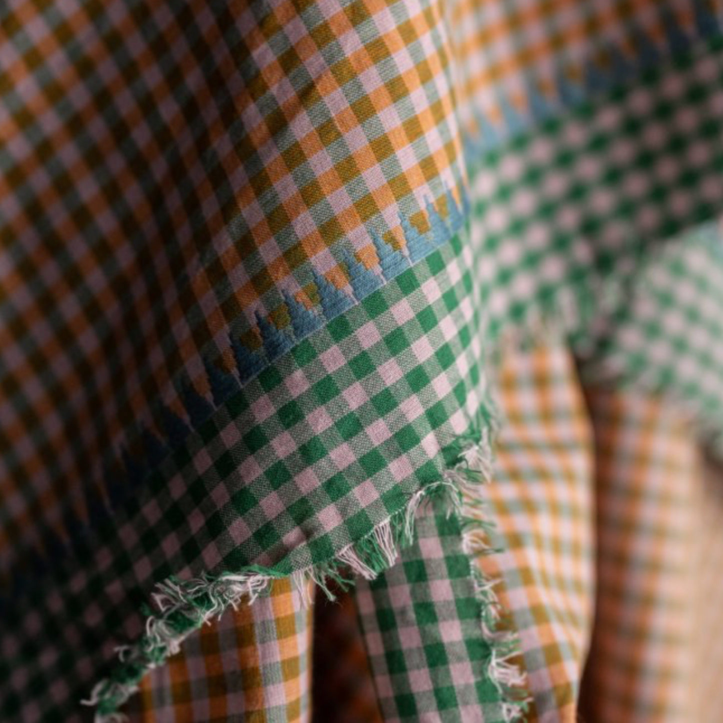 abric with green, orange, and white gingham sections and a frayed edge, photographed in soft focus.
