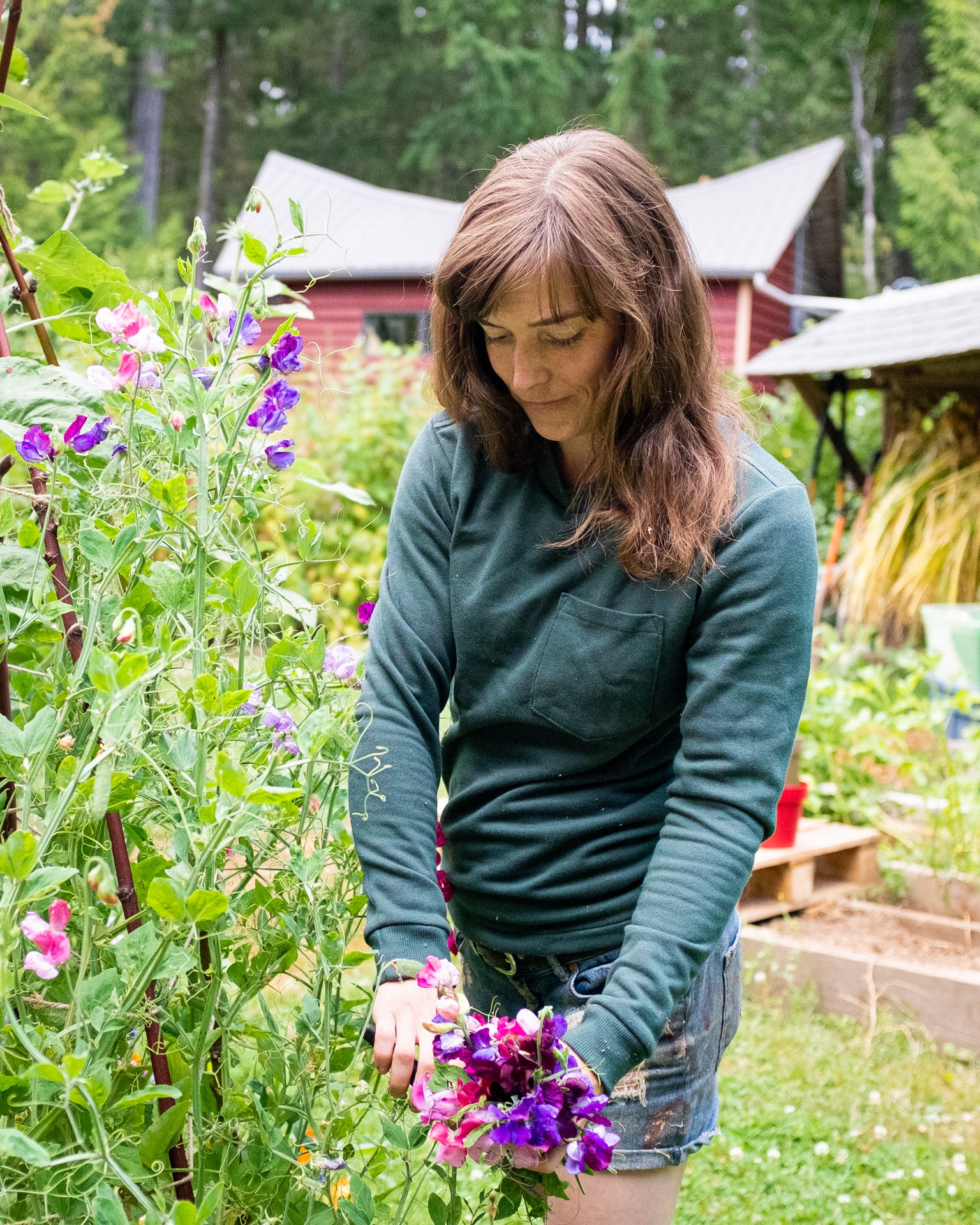 Thread Theory Women&#39;s Woodley Tee PDF Pattern